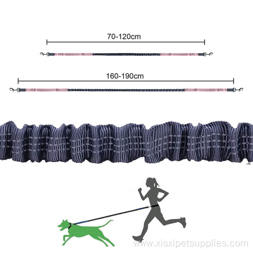 Leash Dual Handle for Control Shock Absorbing Bungee